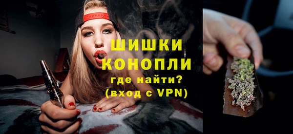бошки Дубна
