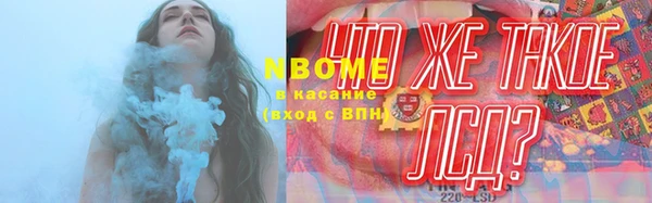 дживик Инта
