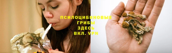 героин Дрезна