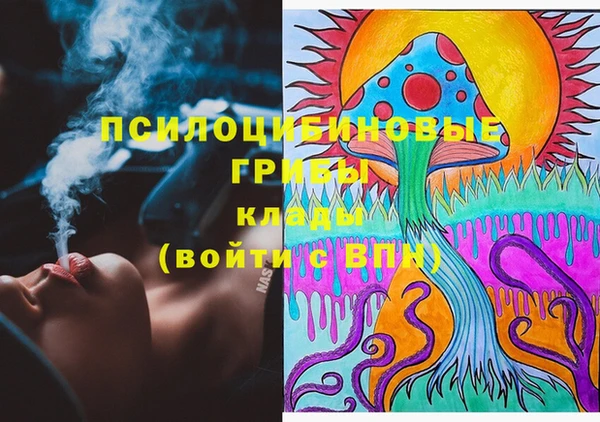 скорость Карталы
